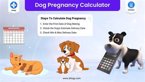 dog due date calculator|Dog Pregnancy Calculator: Calculate your Puppy Due Date